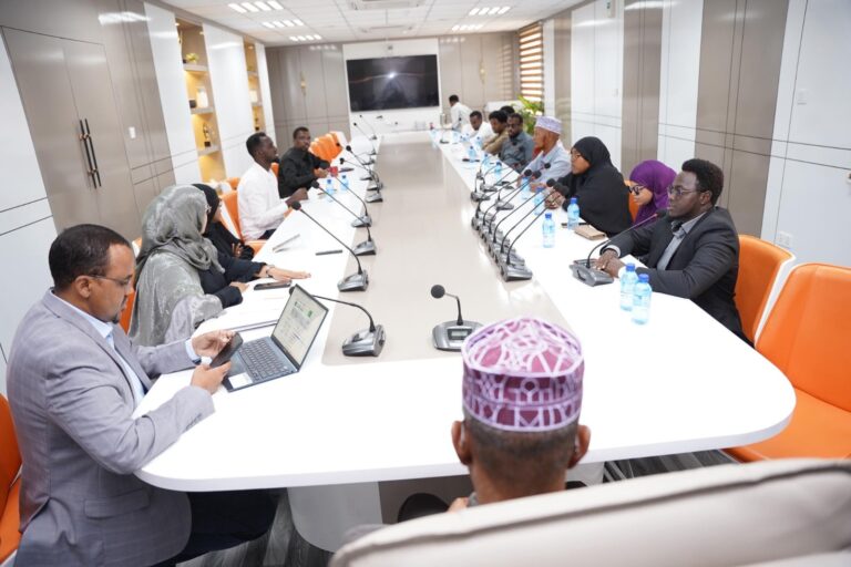 High-Level Meeting on Somalia Electoral Processes and Regulations